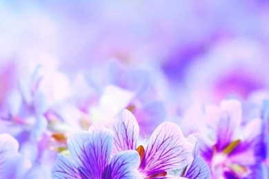 IPod Wallpapers HD   Retina Ready, Stunning Wallpapers