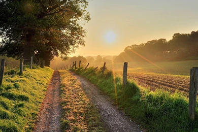 Download Hd Images, Nature Of Wallpapers, Endless View, Plants ...