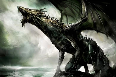 Gallery For   Dragon Hd Wallpapers Download