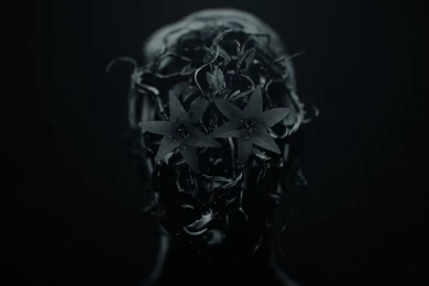 GIRL WITH THE DRAGON TATTOO Dark D Wallpapers