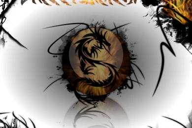 Dark Dragons Wallpapers 09