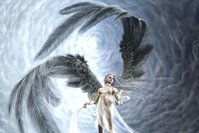 Angel Wallpapers (21159)   Wallpaperesque