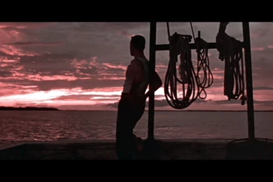 HD Photo Tom Hanks As Forrest Gump In Forrest Gump (1994)...