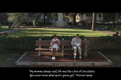 Download Who Directed Forrest Gump Wallpapers Widescreen