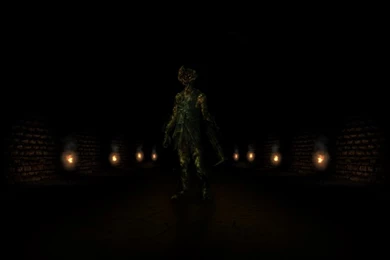 Amnesia Wallpapers [for Insanity installed] By DoctorChase On ...