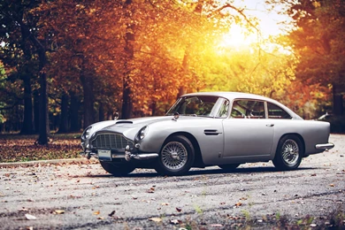 CarArtSpot Newsletter   CarArtSpot