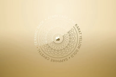 Air YG By JasonZigrino.jpg