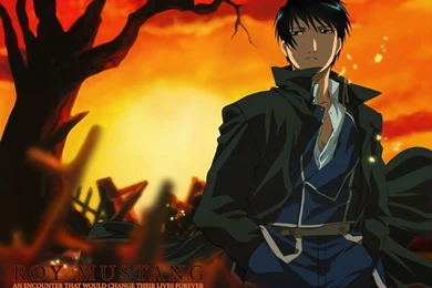 Roy Mustang  Fullmetal Alchemist   Roy Mustang Wallpapers (14874698 ...