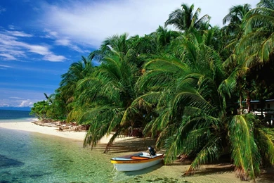 Free High Definition Wallpapers   HD Wallpapers Pretty