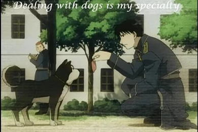 Roy Mustang8   Roy Mustang Wallpapers (9979262)   Fanpop