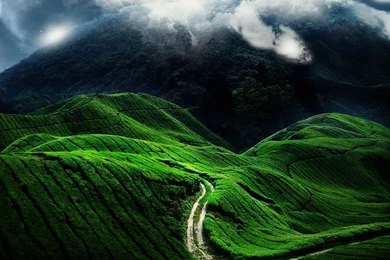 Beautiful Nature Landscape Wallpapers Free Down