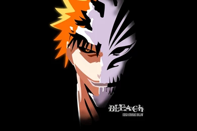 Gallery For   Bleach Wallpapers Ichigo Hollow