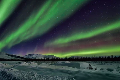 Northern Lights Sky Night Winter Star Wallpapers