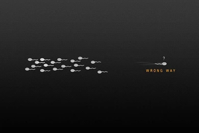 Awesome Collection Of 55+ Funny Wallpapers