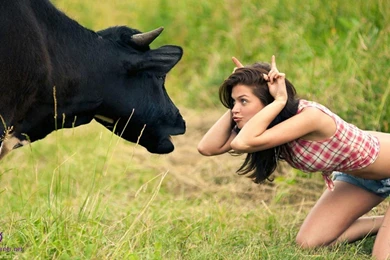 Best Funny Wallpapers In Hd Archives