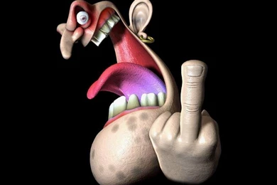 Funny wallpaper high definition.jpg