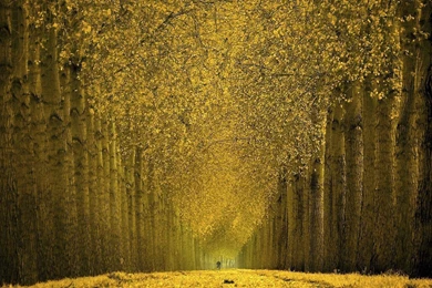 Autumn Wallpapers For Computer   Wallpapers Online