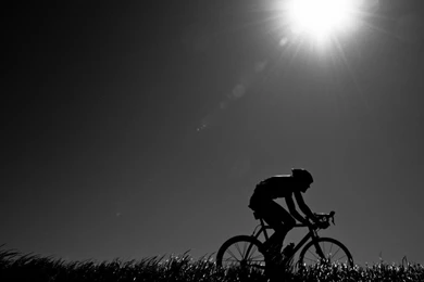 Download Wallpapers Evening, Athletic, Cyclist, Road Bike, Nature ...