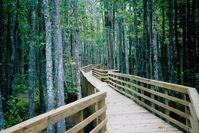 Hd City Images, Buildings, Countries, Widescreen Photos, City ...