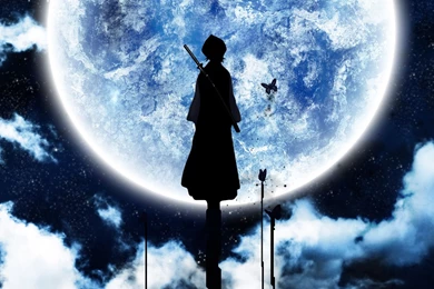 Bleach, Moon, Silhouettes, Kuchiki Rukia :: Wallpapers
