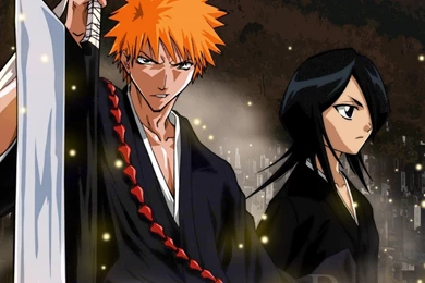 Bleach Wallpapers Ichigo Rukia   1801750