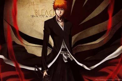 Bleach (2)   Hebus.org   High Definition Wallpapers   HD Wallpapers