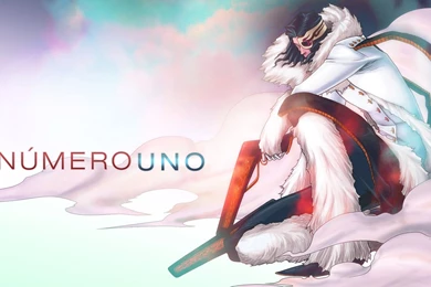 Download Wallpapers 1920x1080 Bleach, Man, Fur, Clouds, Posture ...