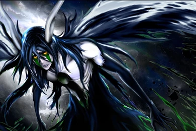 Best Anime Bleach Sky Star Wallpapers