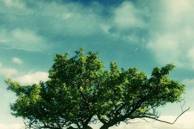 Wallpapers HD On Pinterest