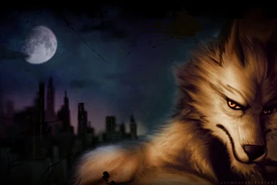 Wolf Wallpapers 1920x1080px By Saimensez On DeviantArt