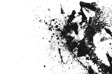 Animal Wolf Wallpapers   HotFreeWallpaper.com