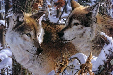 June 2005 ~ Elrinconcitodemaya