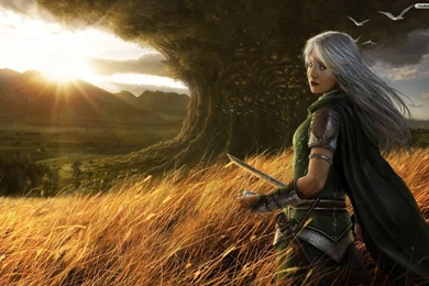 YouWall   Warrior Wallpapers   Wallpaper,wallpapers,free Wallpapers ...