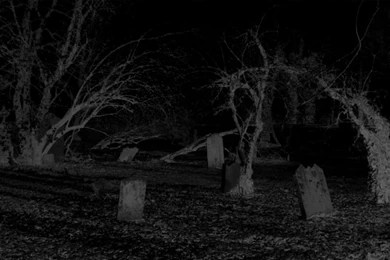 Wallpapers   Abandoned Cemetery By Pluriverse   Customize.org