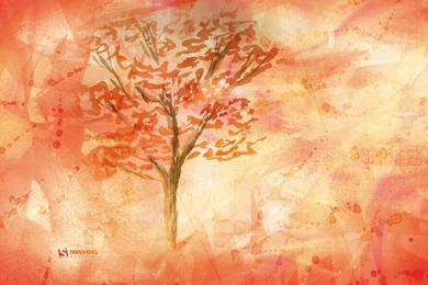 Fall In October Wallpapers