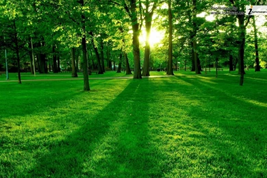 Beautiful Landscape Scenery   Photo 216 Of 395