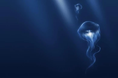 Jellyfish Wallpapers High Resolution For Phone 42464 Full HD ...