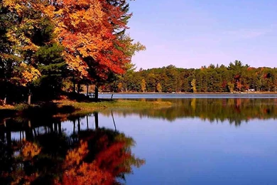 Free Autumn Desktop Backgrounds Wallpapers   6   Pelfind