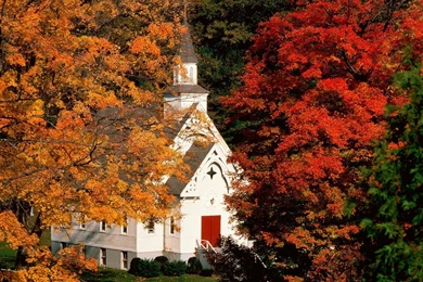 Free Autumn Landscape Free Desktop Backgrounds Free Wallpapers Image ...