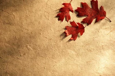 Fall Wallpapers For Computer Backgrounds   Invitation Templates