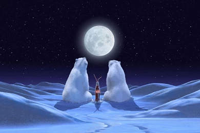 Gallery For   Coca Cola Polar Bear Wallpapers Desktop