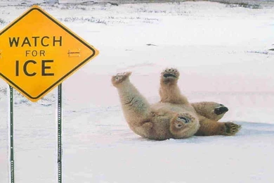 1920x1080   Page 1569