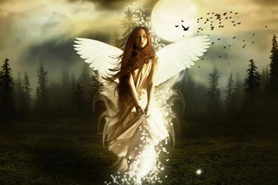 Rise On An Angel HD 1366x768