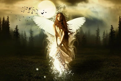 Top Top Best Wallpapers Angel Images For Pinterest
