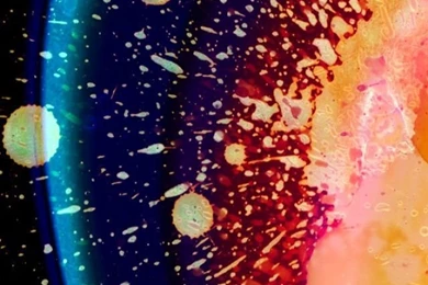 In Rainbows iPhone 5 Wallpapers