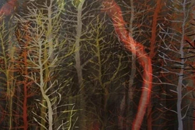 HDscreen: Radiohead The King Of Limbs Abstract Bands Cover Desktop ...