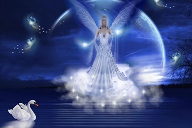 Beautiful Fantasy Angels Wallpapers 1440x900