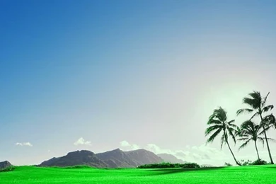 Galaxy S4 s5 note 3 Fitted Wallpapers Hd