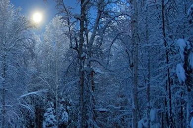 Galaxy S3 Wallpapers HD   Beautiful, Stunning Wallpapers