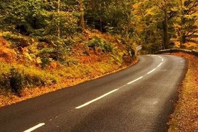 Autumn iPhone 5s Wallpapers